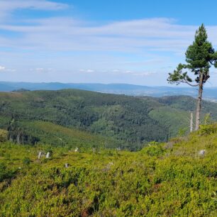 Visla pramení v přírodní rezervaci Beraní hora.