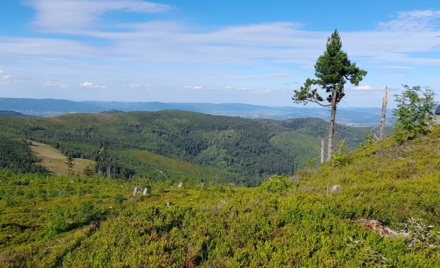Visla pramení v přírodní rezervaci Beraní hora.