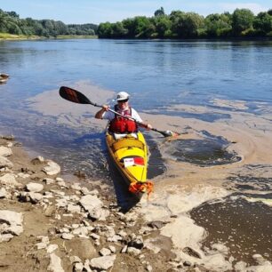 Můj dočasný souputník Jorge v Opatowiecu.
