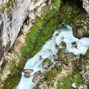 Peřej, která se přenáší.