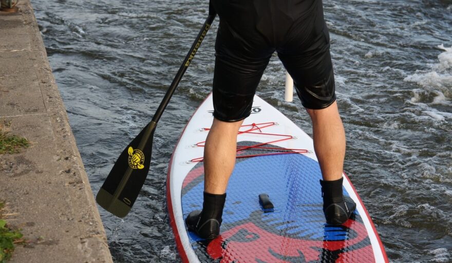 List velikosti L v akci.