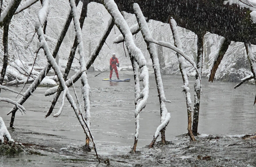 Padlý strom vytvořil krásnou kulisu.