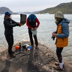 Rozhánění všudypřítomných mušek.