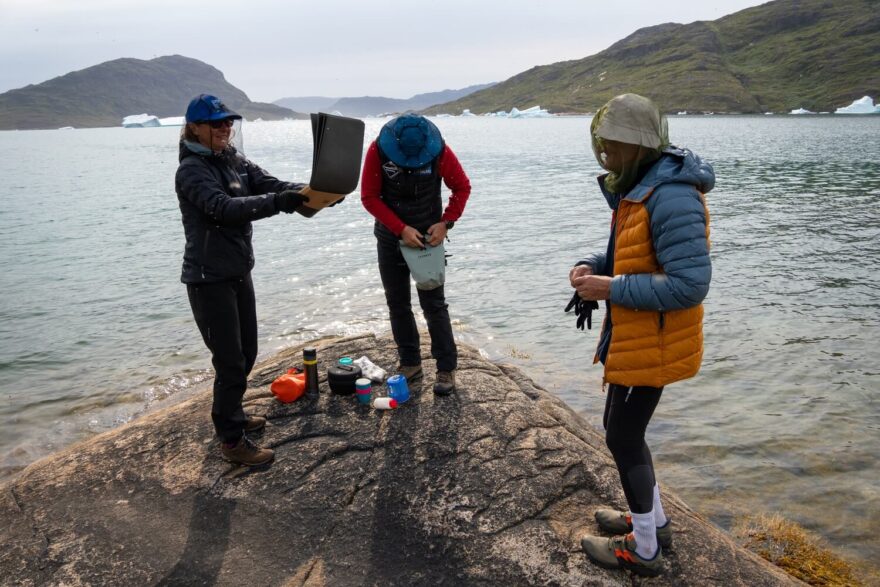 Rozhánění všudypřítomných mušek.