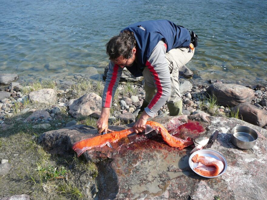 Zpracování rybářského úspěchu.