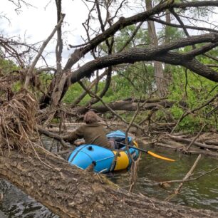 Vcelku běžná situace na horní Lužnici.