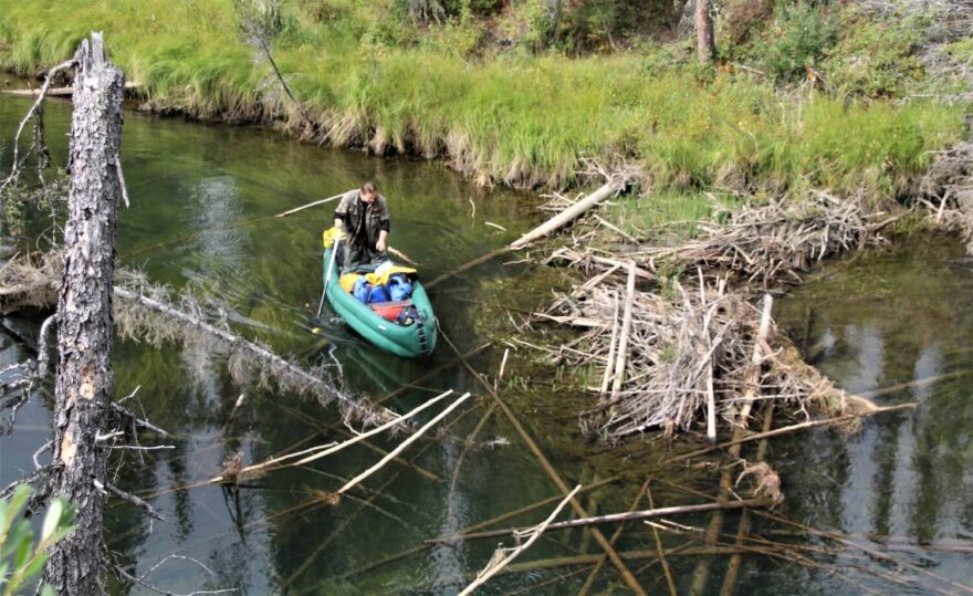 Překonávání přírodních nástrah na Stewart River, Yukon Territory, Kanada.