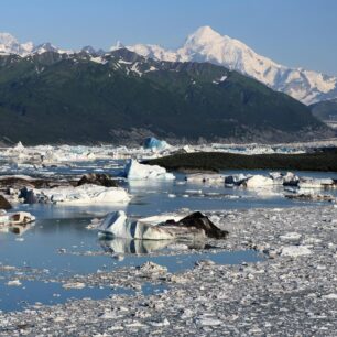 Plovoucím ledem zaplněné Alsek Lake na Alsek River, Aljaška.