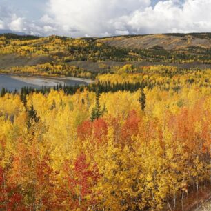 Nádherné barvy okolo Pelly River. Yukon.
