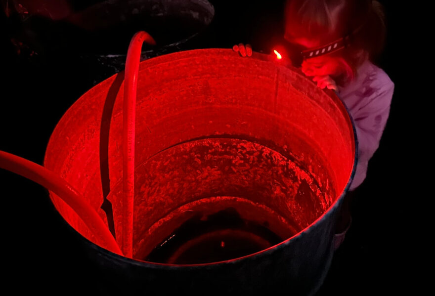 Garnetku si oblíbila i naše pětiletá dcera.