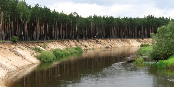 Polská řeka Pilica láká vodáky na klidnou plavbu, krásnou přírodu a bezstarostné táboření