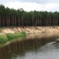 Polská řeka Pilica láká vodáky na klidnou plavbu, krásnou přírodu a bezstarostné táboření