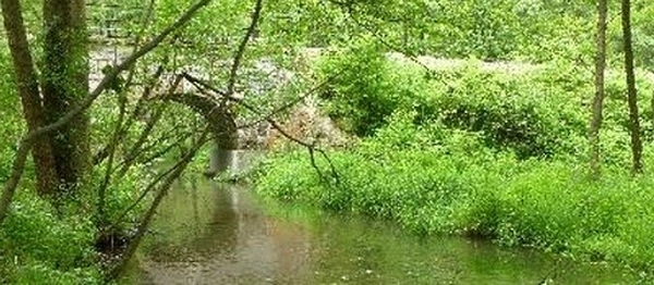 Objevování říčky Bělá