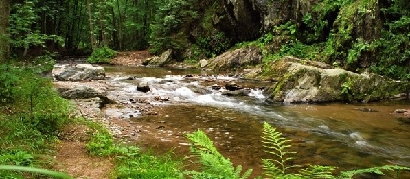 Elektronická petice proti přehradě Pěčín na Zdobnici