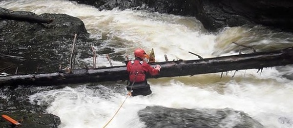 Pozor na stromy na spodní Kamenici