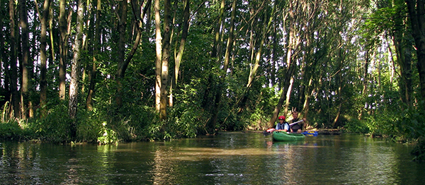 Romže – Prales u Prostějova