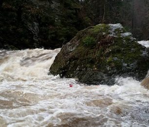 Pozor na stromy na Kamenici a Jizeře