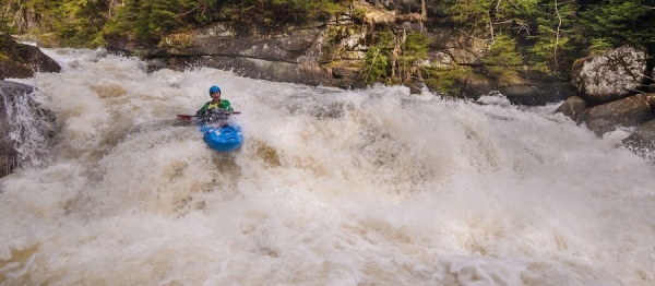 Horní Kamenice byla zbavena několika stromů, jeden ale zůstal!