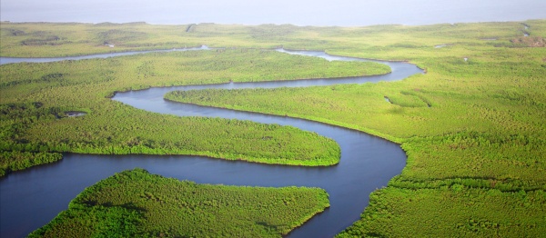 International Day of Action for Rivers 2018