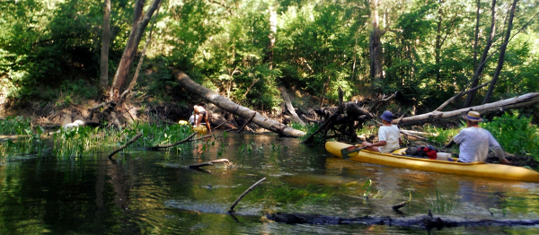 Drzewa na Obře – Že prej pohodová řeka…