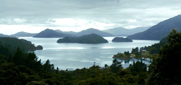 Půvabné pobřeží Nového Zélandu nejlépe prozkoumáte na seakajaku
