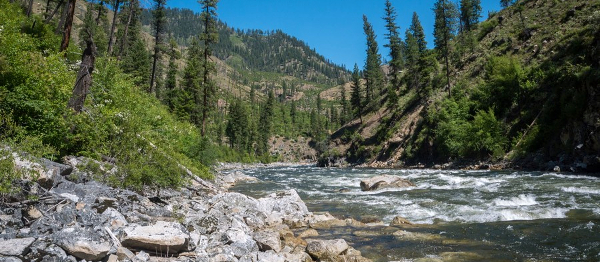 Výživné pádlování na legendární řece South Salmon v americkém státě Idaho