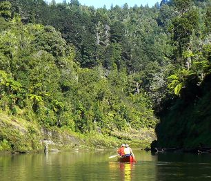 Pádlování na kanoi novozélandskou džunglí po řece Whanganui