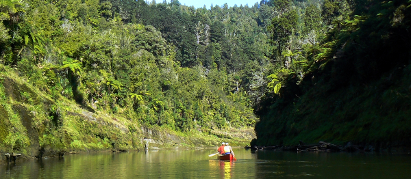Pádlování na kanoi novozélandskou džunglí po řece Whanganui