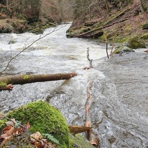 Stromové hlášení z Tanvaldské Kamenice