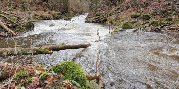 Stromové hlášení z Tanvaldské Kamenice