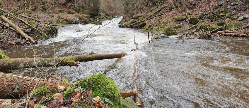 Stromové hlášení z Tanvaldské Kamenice