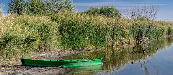 Iniciativa Stop přehradám zveřejňuje petici za řešení problému se suchem a vodou v krajině