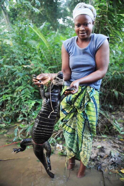 Úlovek, Středoafrická republika