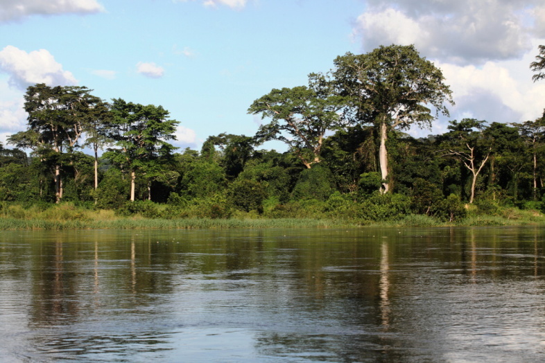 Sangha, Středoafrická republika