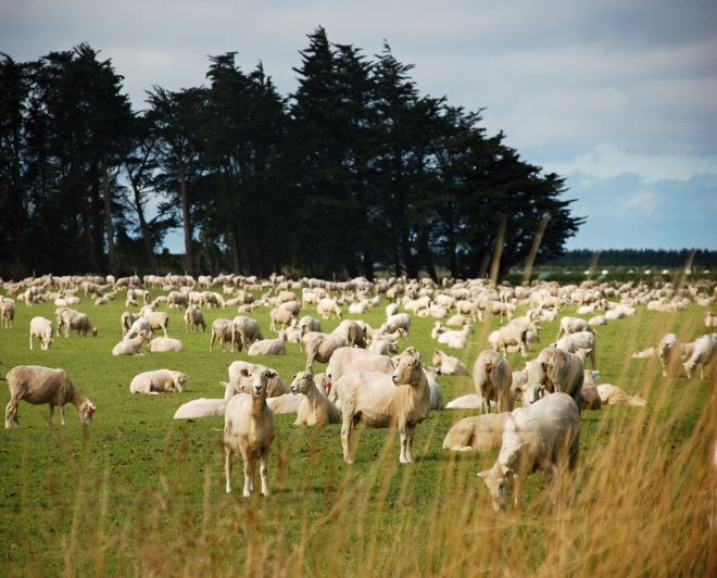 Nový Zéland očima kajakářů 