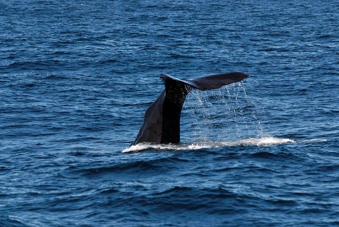 Nový Zéland očima kajakářů