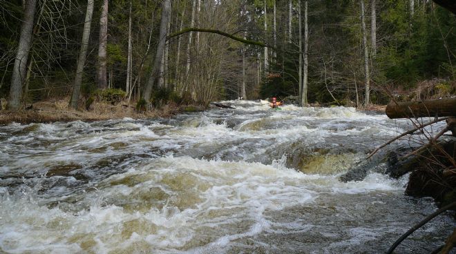 Reissbach - Dračice