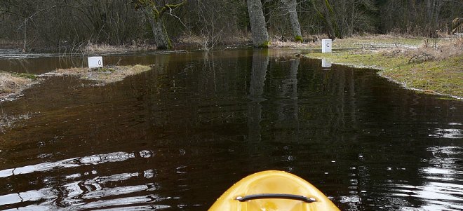 Reissbach - Dračice