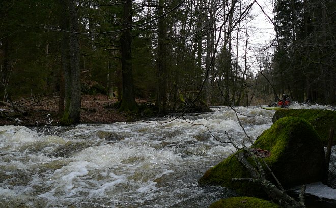 Reissbach - Dračice