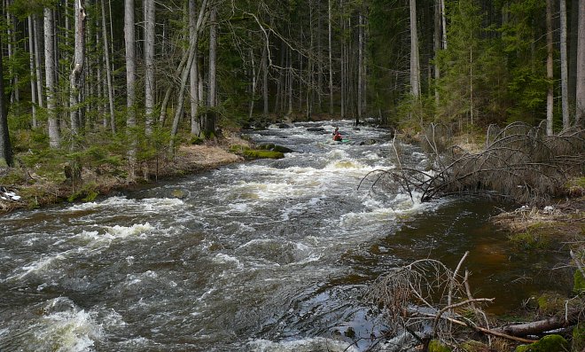 Reissbach - Dračice