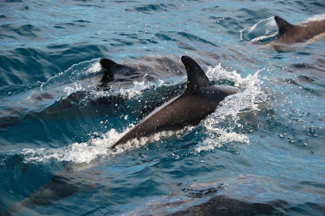 Nový Zéland očima kajakářů