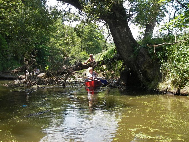 Thayaland – Dyje a příhraniční region
