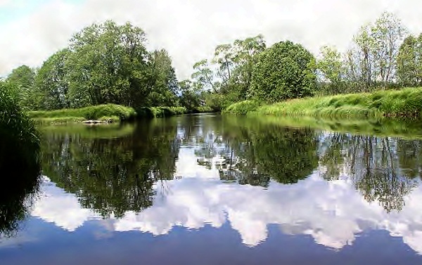 Šumy z šumné Šumavy