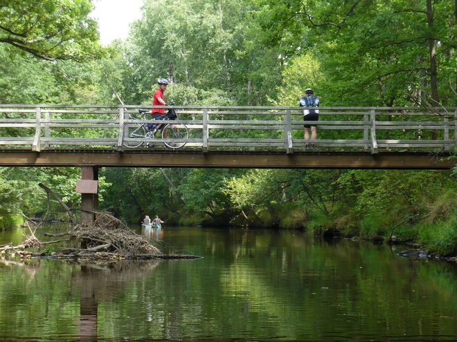 Z Lužnice na Lužnici, aneb Lužnice v pohodě