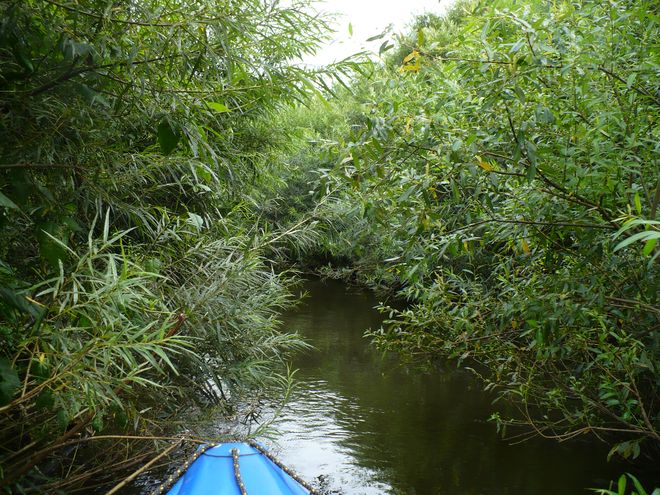 Z Lužnice na Lužnici, aneb Lužnice v pohodě