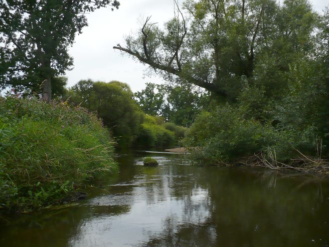 Z Lužnice na Lužnici, aneb Lužnice v pohodě