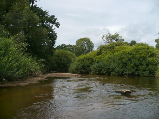 Z Lužnice na Lužnici, aneb Lužnice v pohodě
