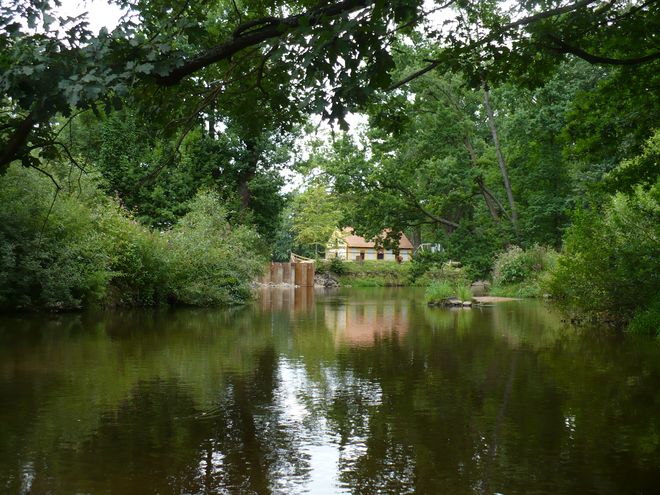 Z Lužnice na Lužnici, aneb Lužnice v pohodě