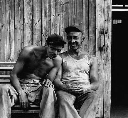 Vítězství, nebo svoboda