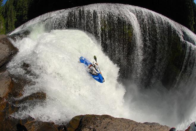 Jak se mění vodáci?  Zajícové na vodě